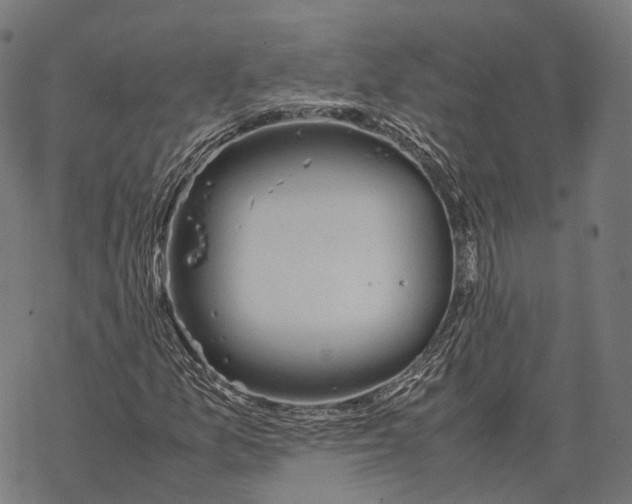 X0000067871157200605111752