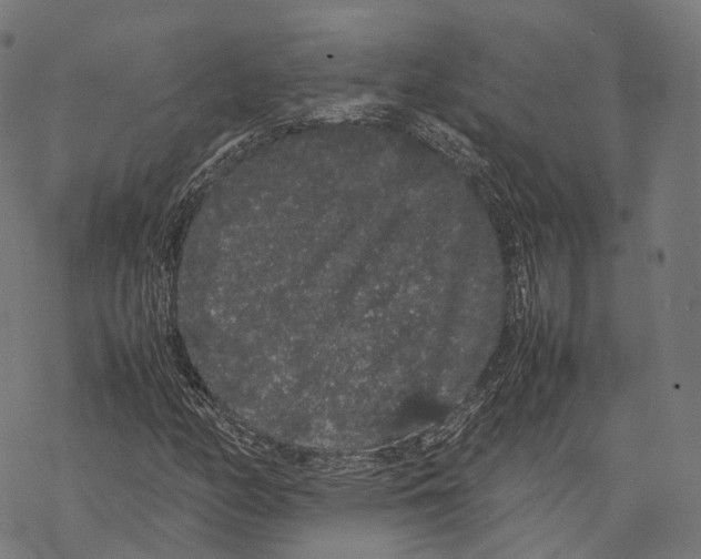 X0000067871158200605111752