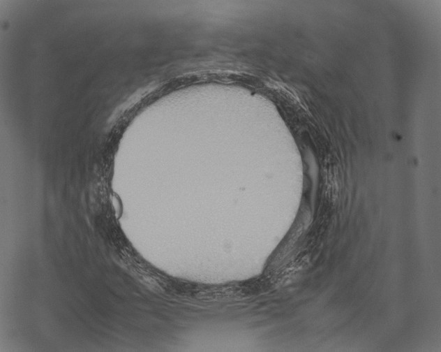 X0000067871159200605111752