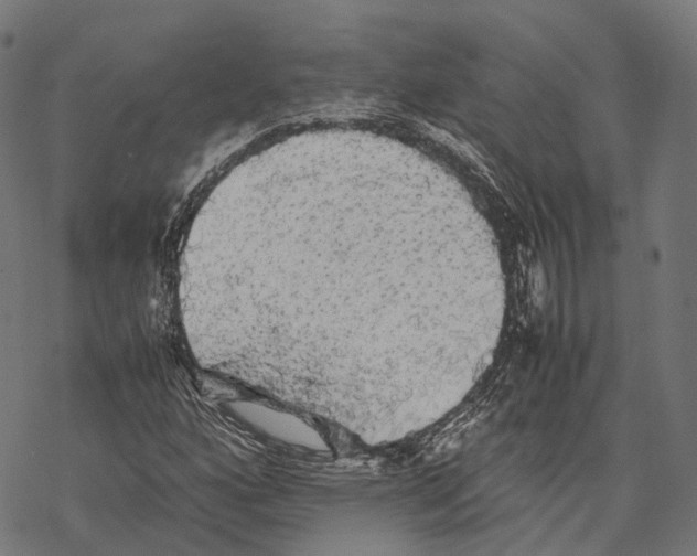 X0000067871160200605111752