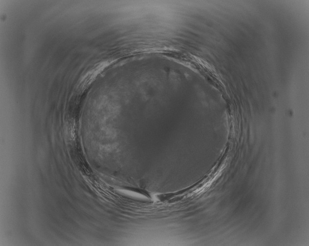 X0000067871161200605111752