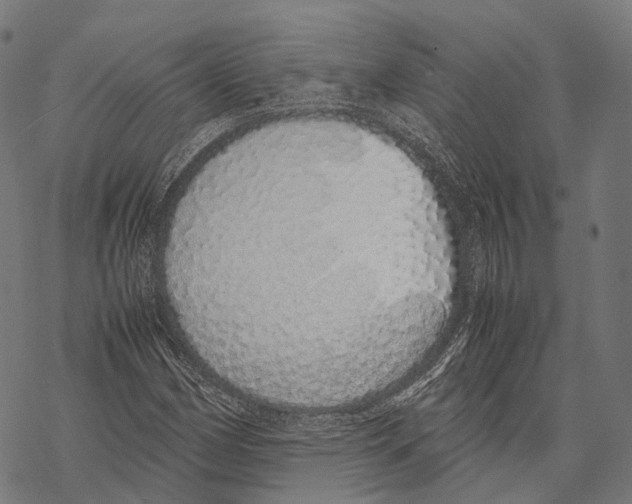 X0000067871162200605111752