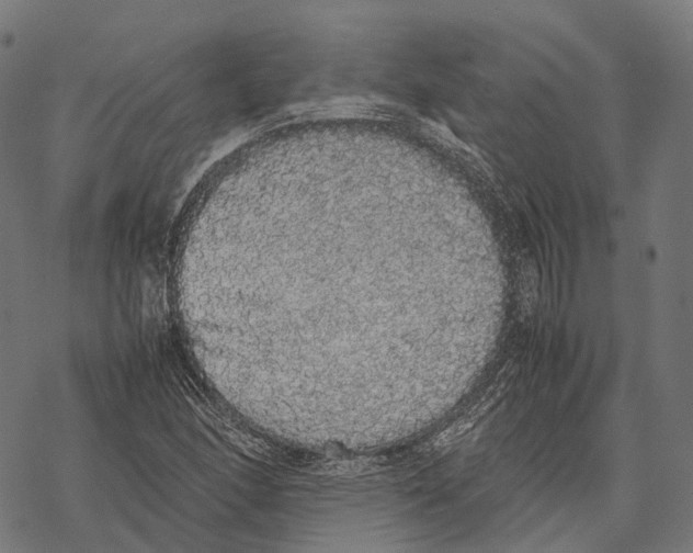 X0000067871166200605111752