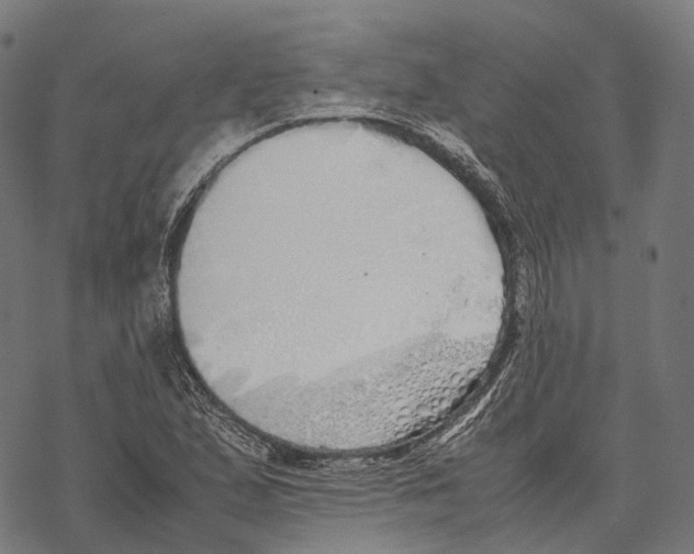 X0000067871167200605111752