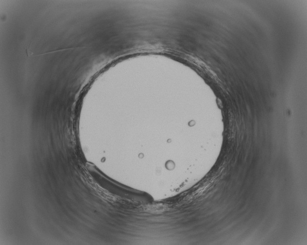 X0000067871168200605111752