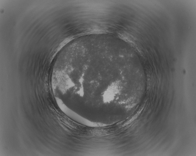 X0000067871170200605111752