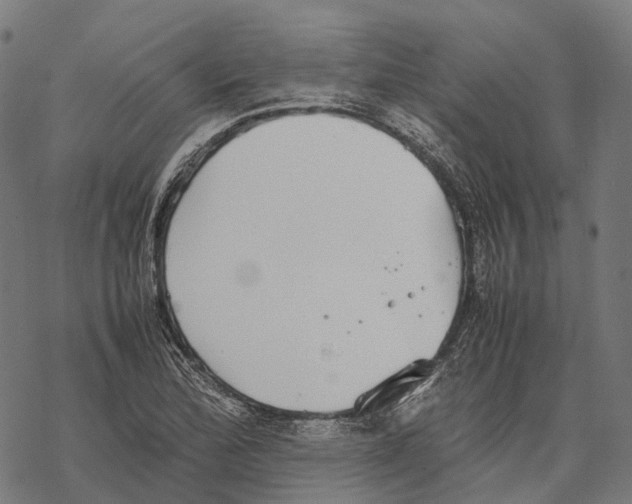 X0000067871172200605111752