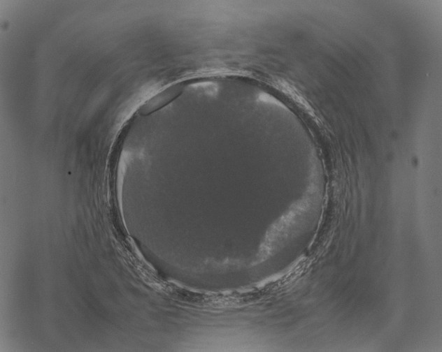 X0000067871173200605111752