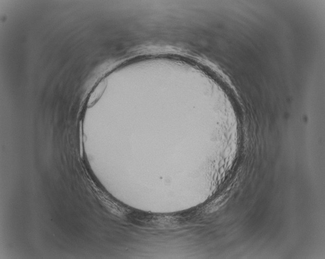 X0000067871175200605111752