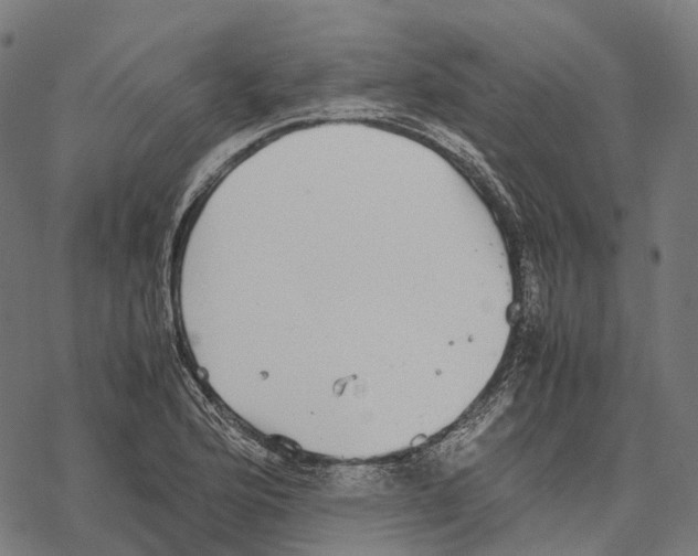 X0000067871176200605111752