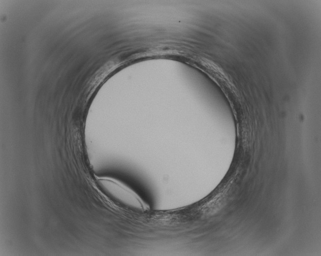 X0000067871177200605111752