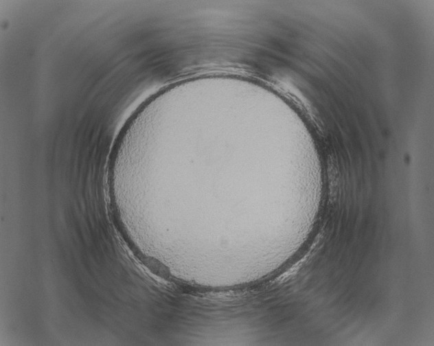 X0000067871182200605111752