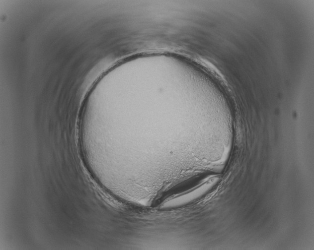 X0000067871183200605111752