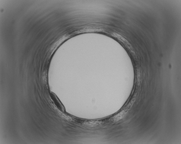 X0000067871185200605111752