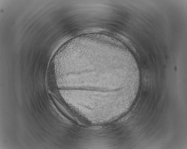 X0000067871186200605111752