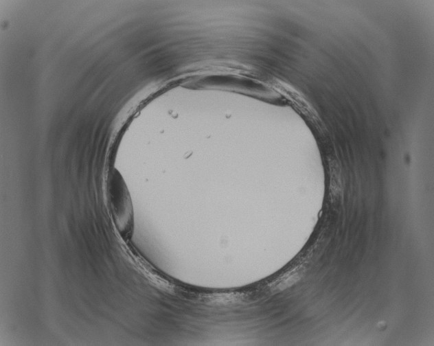 X0000067871188200605111752