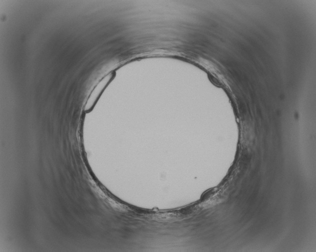 X0000067871189200605111751