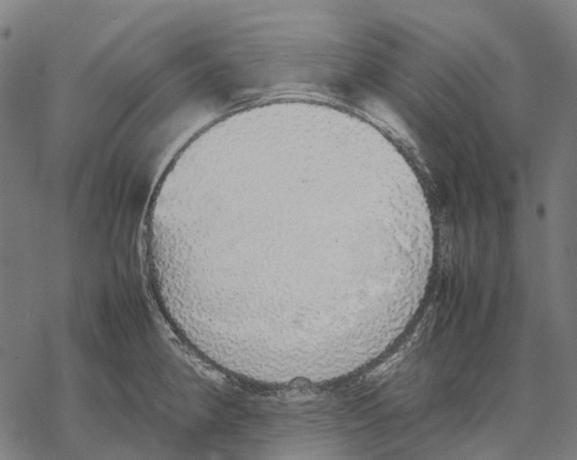 X0000067871190200605111751