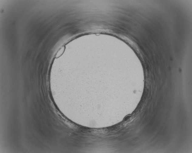 X0000067871191200605111751