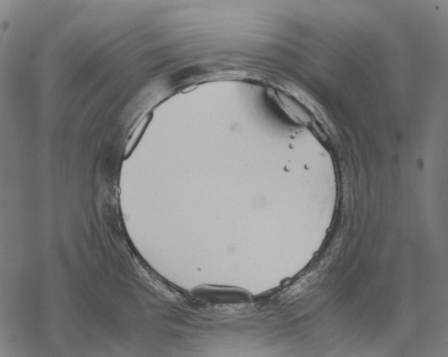 X0000067871193200605111751