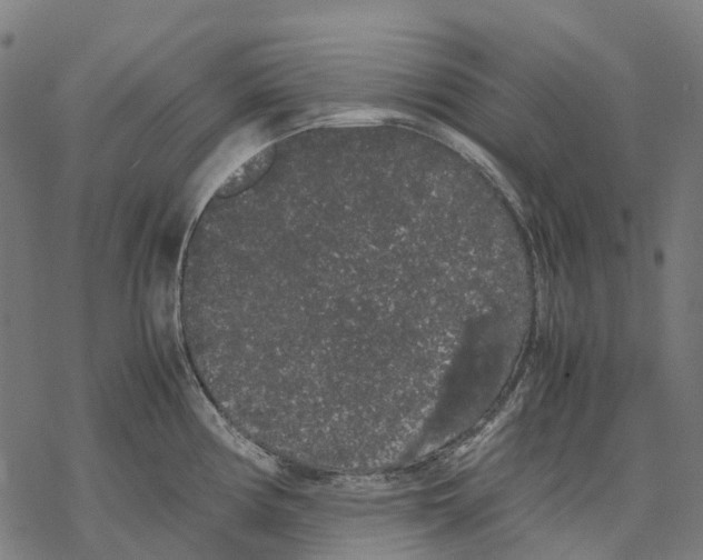 X0000067871194200605111751