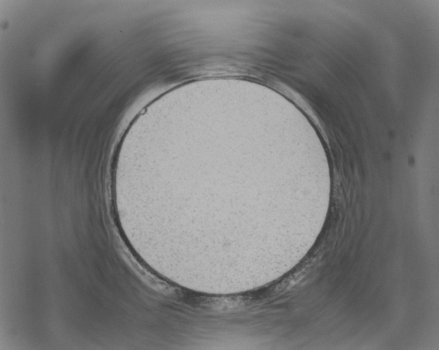 X0000067871195200605111751