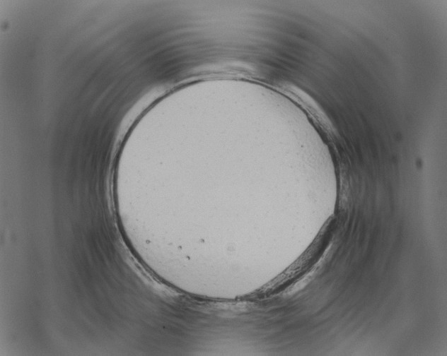 X0000067871196200605111751