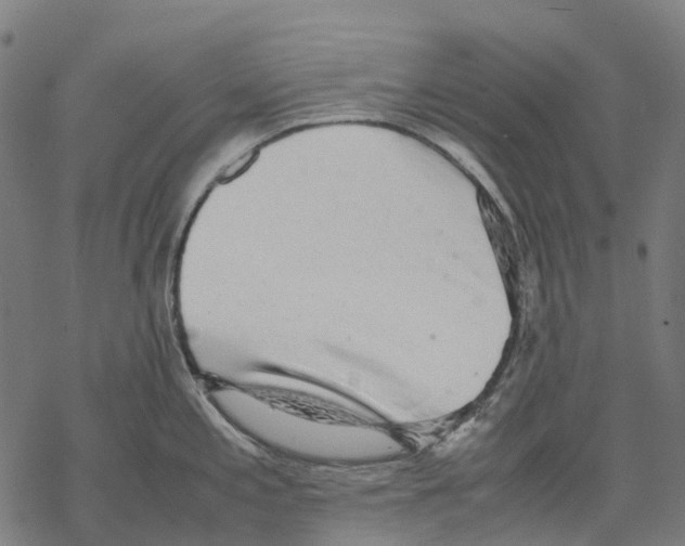 X0000067871197200605111751