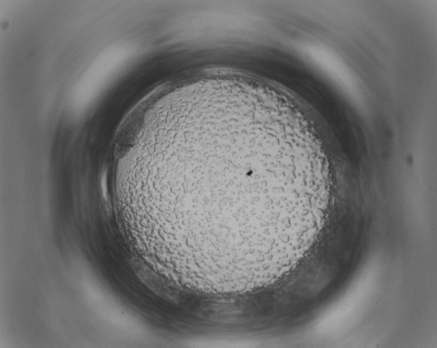 X0000067871198200605111751