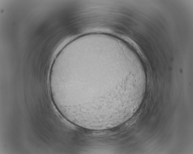 X0000067871199200605111751