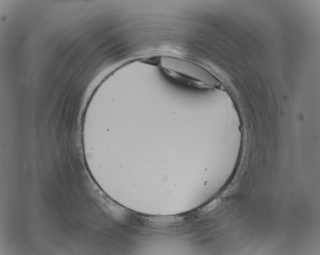 X0000067871200200605111751