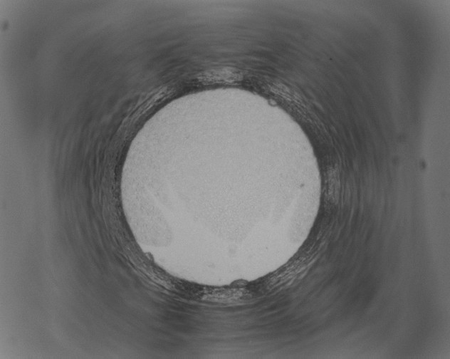 X0000067871201200605111750