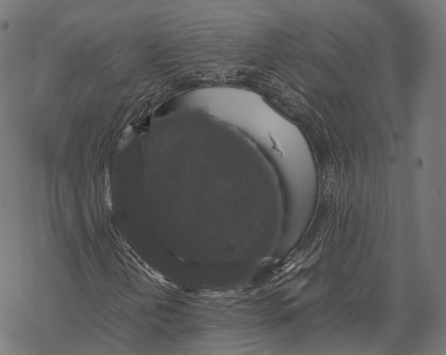 X0000067871202200605111750