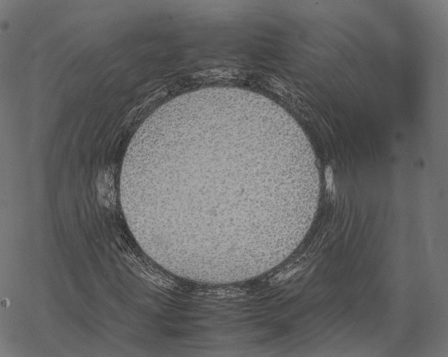 X0000067871203200605111750