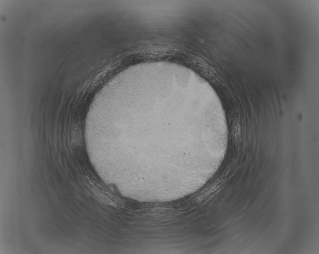 X0000067871204200605111751