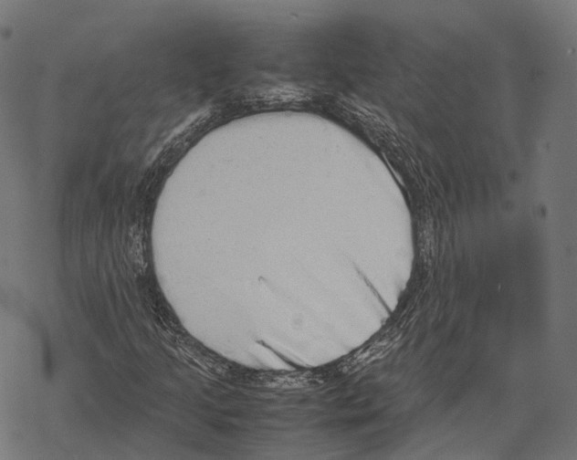 X0000067871205200605111751