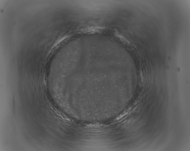 X0000067871206200605111751