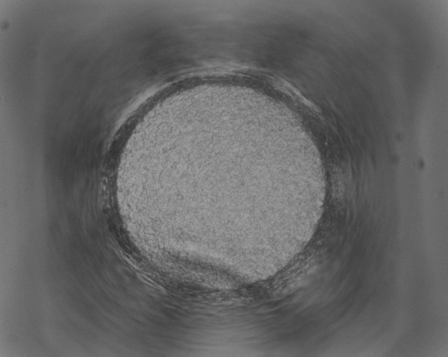 X0000067871208200605111751