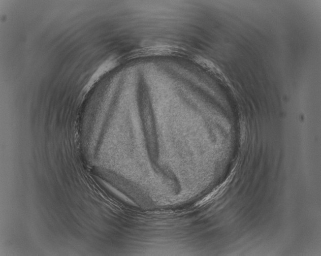 X0000067871210200605111751