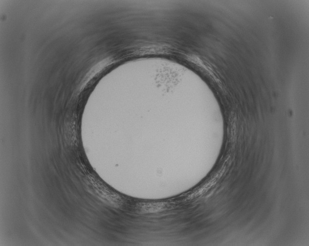 X0000067871211200605111751