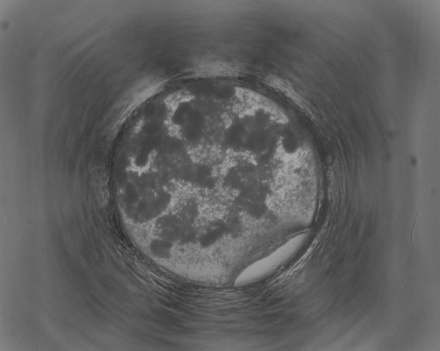 X0000067871213200605111751