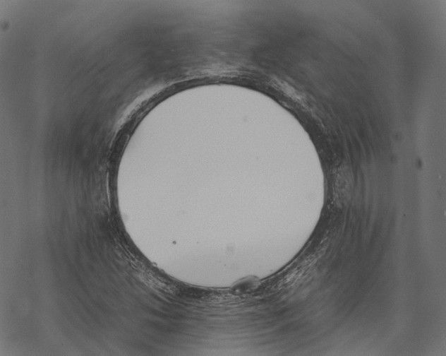 X0000067871214200605111751