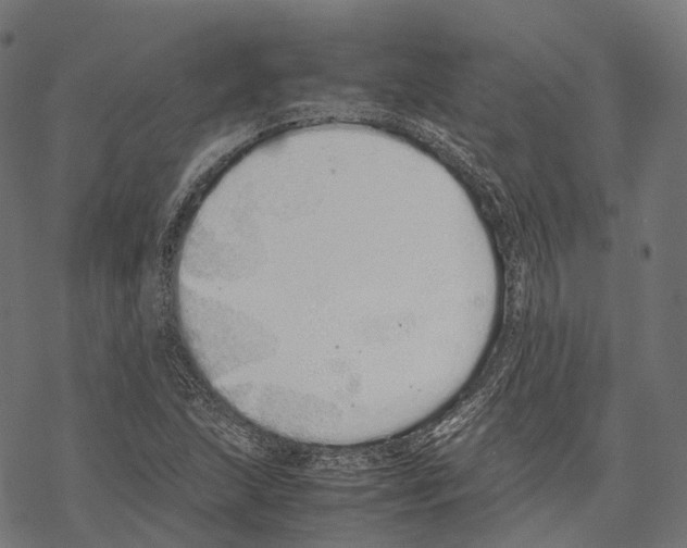 X0000067871215200605111751