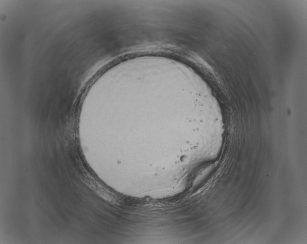 X0000067871216200605111751