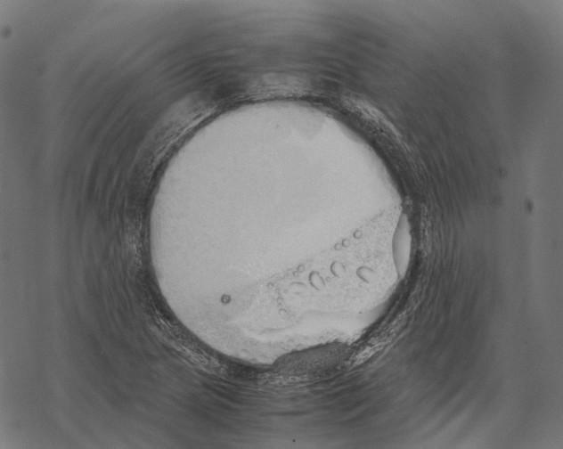 X0000067871217200605111751