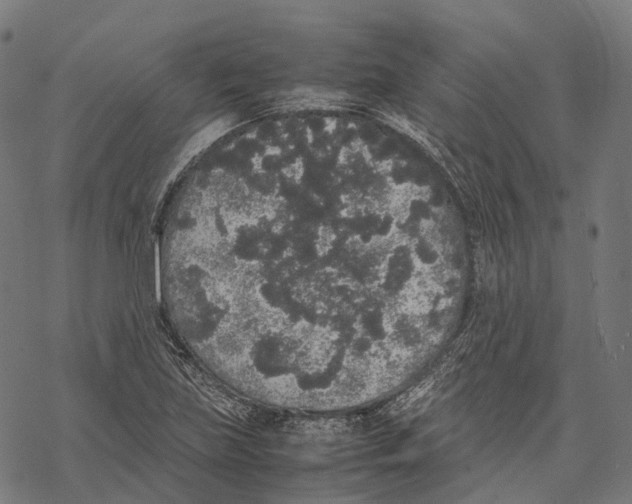 X0000067871219200605111751