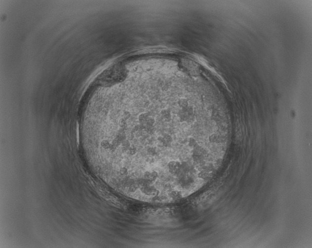 X0000067871221200605111751