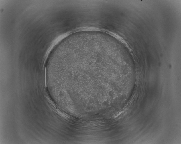 X0000067871223200605111751