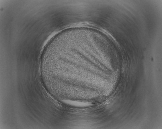 X0000067871224200605111751