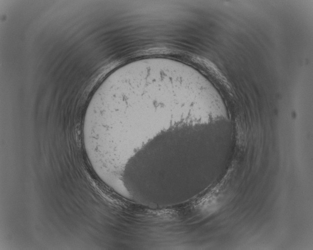 X0000067871225200605111751